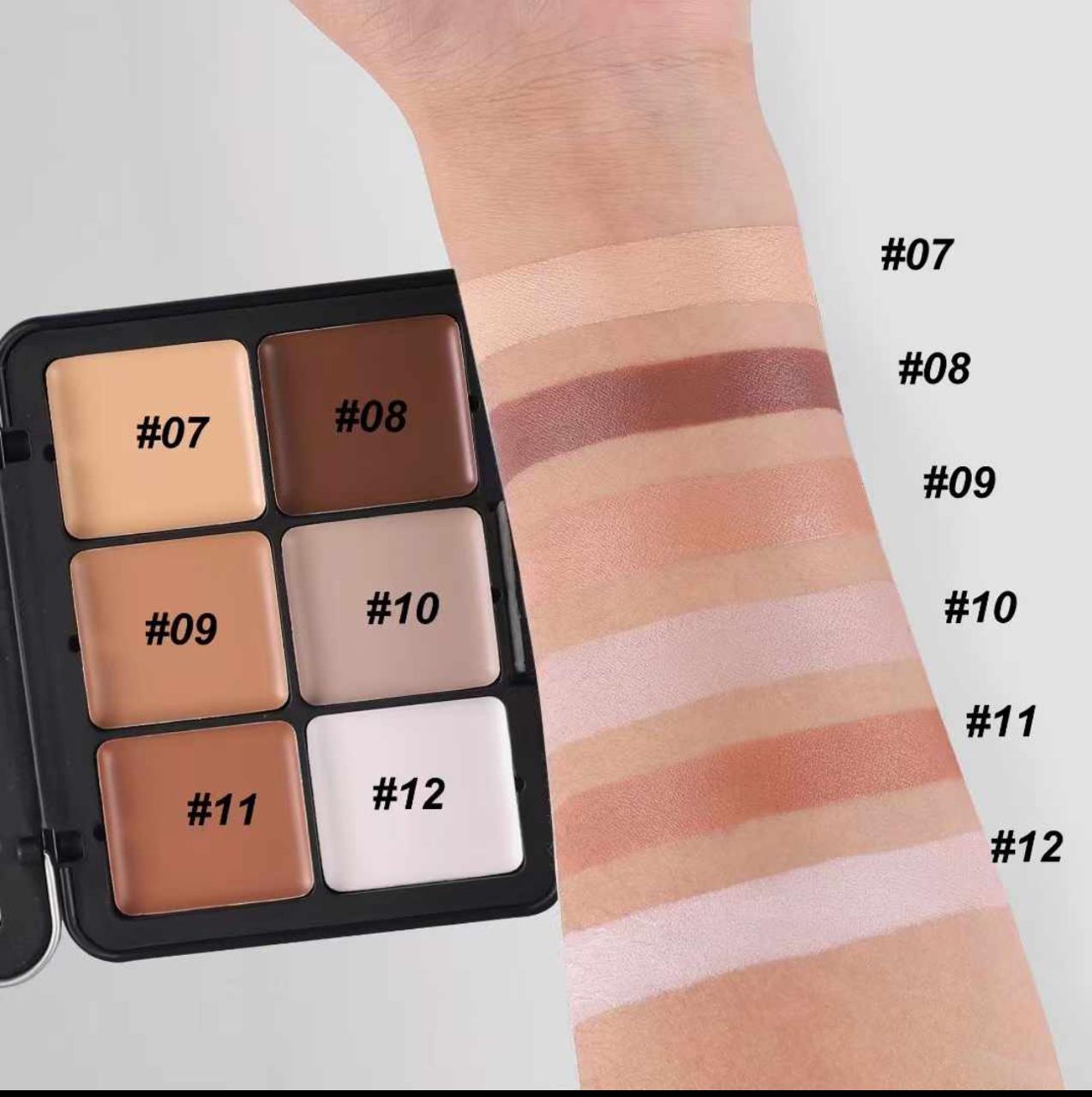 12 Color Blusher and Contour Kit