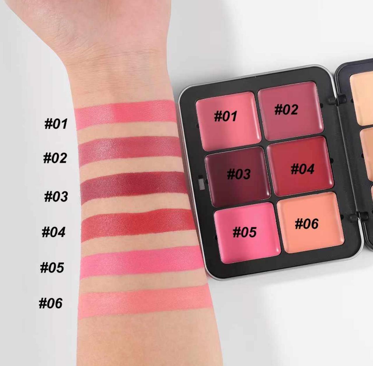 12 Color Blusher and Contour Kit