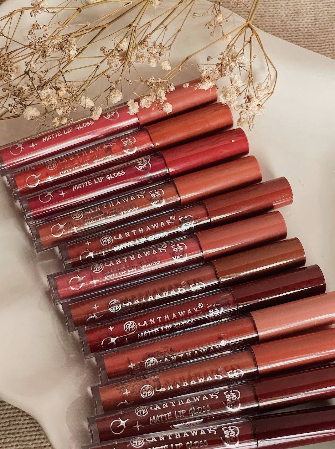 12 Pcs Nude Gloss Tray